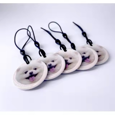 kopen Aanpasbare afdrukbare RFID-tags passieve epoxy NFC-tag weerbestendige online manufacture
